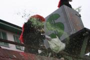 Fasnachtsumzug Laufen 2009